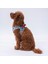 Air-Mesh Bears Köpek Göğüs Tasması 3