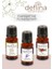 3'lü Avantaj Set2 Esansiyel Uçucu Yağ Aromaterapi Difüzör Esansı Hava Nemlendirici Oda Kokusu 3X10ML. Doğal ortam 1
