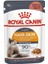 Royal Canin® Hair & Skin Care Yetişkin Kedi Yaş Maması 85 Gr *12 1