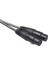 Ses Kablosu 2 Rca Dişi Çift 2 Xlr 3-Pin Erkek Interkom Amplifikatörü (Yurt Dışından) 4