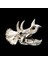 Triceratops Stili Sürüngen Amfibi Pet Kutusu Dekorasyon Remülasyon Triceratops Dinozor Fosili Süs Besleme Kutusu Sürüngen Pet Malzemeleri (Yurt Dışından) 3
