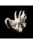 Triceratops Stili Sürüngen Amfibi Pet Kutusu Dekorasyon Remülasyon Triceratops Dinozor Fosili Süs Besleme Kutusu Sürüngen Pet Malzemeleri (Yurt Dışından) 4