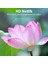 iPhone 15 Plus Uyumlu Full Hd Tempered Cam Ekran Koruyucu 5