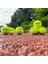 1 Adet Top Tarzı Welkın #profesyonel Antrenman Tenis Antrenmanı Yeni Başlayanlar Için Tenis Yeni Başlayanlar Için Yüksek Li Kauçuk Okul Kulübüne Uygun (Yurt Dışından) 5
