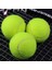 Eğitim Yarışması Için Lot Profesyonel Tenis Topu Standart Tenis Topu Yüksek Elastikiyet Sporları Kauçuk Tenis Topları (Yurt Dışından) 1