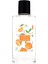 100 ml Cam Şişe Botanical Orange Kokulu Kolonya 1