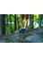 Quechua Çocuk Outdoor Çorap - 2'li Paket - Gri - NH100 5