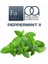 Pepermint Iı Aroması Nane Aroma 10 ml 1