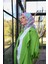 Triano Desen Soft Eşarp Su Yeşili Pembe 1171-05 2