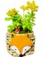 Sedum Sukulent Canlı Bitki & Tilki El Yapımı Seramik Saksıda & Hediye Canlı Bitki & Iç Mekan Bitki 3