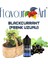 Blackcurrant Aroması Frenk Üzümü Aroma 10 ml 1