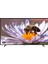 YE-42020G6 42" 106 Ekran Uydu Alıcılı Full HD LED TV 1