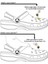 Crocs Jibbitz Terlik Süs Kelebek -Crocs Terlik Süsü Pacman,nutella,kivi,uğur Böceği 8'li Set 3