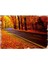 Ahşap Mdf Puzzle Yapboz Son Bahar Yol 500 Parça 50*70 cm 1