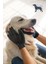 Kedi & Köpek Tüy Toplama Masaj ve Kaşıma Eldiveni 5