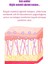 5x Collagen Mask - Sıkılaştırma ve Nemlendirme - Kolajen Yüz Maskesi 5 Adet 5