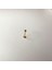 Babs Cerrahi Çelik Altın Renkli 10 mm Top Model Unisex Dudak Piercing 1
