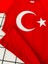 Türk Bayrağı Baskılı Ayyıldızlı 23 Nisan Tören Tişört 2