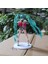 Güzel Kız Serisi Hatsune Miku Ikiz At Kuyruğu Ayakta Model Süsleme (Yurt Dışından) 4