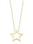 14 Ayar Altın Star Kolye 1