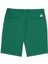 Dealer Golf Short / Erkek UPF50 Golf Şort 5