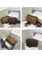 High-End Kadın Çantaları 2022 Yeni Retro Kadın Çantaları Moda Baskılı Omuz Kadın Çantası Küçük Kare Çanta Crossbody Çanta Göğüs Çantası (Yurt Dışından) 4