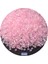 DD55 Pembe Stil 2mm 720 Adet Çanta 2mm Üniforma Delica Cam Tohum Boncuk Ab Şeffaf Boyalı Renk Dıy Boncuk El Sanatları Takı Yapımı Için Aksesuarlar 10G (Yurt Dışından) 1