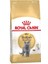 Royal Canin British Shorthair Kedi Maması 2 Kg 1