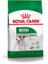 Mini Adult Yetişkin Köpek Maması 2 Kg 10