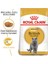 Royal Canin British Shorthair Kedi Maması 2 Kg 2