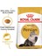 Persian Adult Kuru Kedi Maması 10 Kg 11
