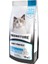 Hamsili Yetişkin Kedi Maması 10 Kg 1