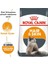 Hair Skin Hassas Tüylü Kediler İçin Mama 2 Kg 2
