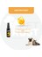 Pettrust Herbal Pet Care Kedi ve Köpekler Için Organik Vitamin-D Takviyesi 40 ml 5