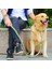 Sarı Mavi Stil M 30 Ila 40 cm Çift Telli Halat Büyük Köpek Tasmalar Metal P Zinciri Toka Kontrast Renkli Pet Çekiş Halatı Yaka Seti Köknar Uzunluğu (Yurt Dışından) 3