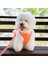 Kırmızı Stil Xs Beden Yansıtıcı Köpek Koşum Tasma Seti Naylon Pet Kedi Koşum Köpek Tasma Ayarlanabilir Pet Koşum Yelek Yavru Orta Köpek Için Pet Malzemeleri (Yurt Dışından) 4
