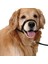 Siyah Stil M Beden Ayarlanabilir Koşum Nazik Lider Kemer Eğitim Tasma Lideri Köpek Yaka Lideri Kemer Koşum Namlu Köpek Yular No Pull Bite Askıları (Yurt Dışından) 3