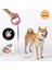 3m Mavi Stil Işıklar Abs Yüksek Dereceli Kararlı Dayanıklı 3 Metre Otomatik Geri Çekilebilir Köpek Çekiş Halatı Tasmalar Pet Talepleri (Yurt Dışından) 2