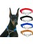 Mavi Stil 40-72CM 1 Adet Yeni Köpek Tasması Kaynaklı Link Zinciri ile Pet Naylon Slollar Köpek Eğitim Aksesuarları Büyük Köpek Için Ayarlanabilir Yaka (Yurt Dışından) 2