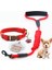 Sarı Stil M 23-35CM Boyun Özel Köpek Tasmaları Deri Yavru Kedi Köpek Künyesi Kişiselleştirilmiş Pet Tabela Kımlığı Küçük Orta Büyük Köpekler Için Anti-Kayıp Drog (Yurt Dışından) 2