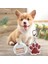 Sarı Stil M 23-35CM Boyun Özel Köpek Tasmaları Deri Yavru Kedi Köpek Künyesi Kişiselleştirilmiş Pet Tabela Kımlığı Küçük Orta Büyük Köpekler Için Anti-Kayıp Drog (Yurt Dışından) 4