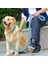 Yeşil Siyah Stil Xl 50 Ila 65 cm Çift Telli Halat Büyük Köpek Tasmalar Metal P Zinciri Toka Kontrast Renkli Pet Çekiş Halatı Yaka Seti Köknar Uzunluğu (Yurt Dışından) 2