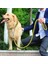 Yeşil Siyah Stil Xl 50 Ila 65 cm Çift Telli Halat Büyük Köpek Tasmalar Metal P Zinciri Toka Kontrast Renkli Pet Çekiş Halatı Yaka Seti Köknar Uzunluğu (Yurt Dışından) 4