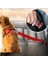 Mavi Stil Köpek Tasması ve Emniyet Kemeri Yeni Araç Araba Emniyet Kemeri Kurşun Klipsi Kedi Köpek Güvenliği Köpek Malzemeleri Emniyet Kolu Evcil Hayvan Aksesuarları Köpek Zinciri (Yurt Dışından) 2