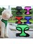 Açık Yeşil Stil Xs Beden Pet Köpek Yansıtıcı Koşum Tasma Pet Kontrol Koşum Yaka Emniyet Kemeri Örgü Yelek Köpek Yavrusu Kedi Malzemeleri Için Ayarlanabilir Koşum (Yurt Dışından) 2