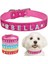 Gül Tarzı S Beden Kişiselleştirilmiş Köpek Tasması Deri Taklidi Bling Charms Ayarlanabilir Özel Naylon Yaka Köpek Orta Büyük Pet Köpek Tasması (Yurt Dışından) 3