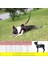Pembe Tarzı S Beden Küçük Orta Köpekler Için Köpek Koşum Hiçbir Çekme Ayarlanabilir Yansıtıcı Pet Yelek Yaka Köpek Koşu Örgü Giysileri Yavru Kedi Koşum Kayışı (Yurt Dışından) 5