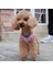 Mor Koşum Stili M Beden Köpek Kedi Dantel Koşum Yelek Pet Ürünleri Çan ile Ayarlanabilir Yürüyüş Kurşun Tasma Köpek Küçük Orta Köpek Için Polyester Örgü Koşum (Yurt Dışından) 2