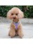 Mor Koşum Stili M Beden Köpek Kedi Dantel Koşum Yelek Pet Ürünleri Çan ile Ayarlanabilir Yürüyüş Kurşun Tasma Köpek Küçük Orta Köpek Için Polyester Örgü Koşum (Yurt Dışından) 3