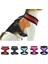 Mavi Stil Xl Beden Nefes Alabilir Örgü Küçük Köpek Pet Koşum ve Tasma Seti Kedi Yelek Koşum Yaka Chihuahua Yavru Pug Bulldog Kedi Arnes Perro (Yurt Dışından) 5